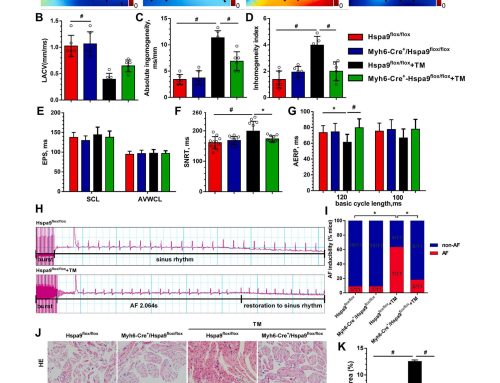Recent Publication Update